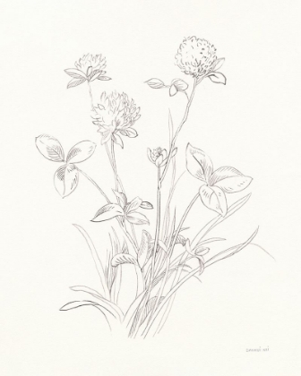 Picture of NATURE SKETCHBOOK VIII