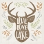 Picture of LAKE LIFE III GREEN