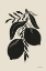 Picture of LEMON SILHOUETTE II