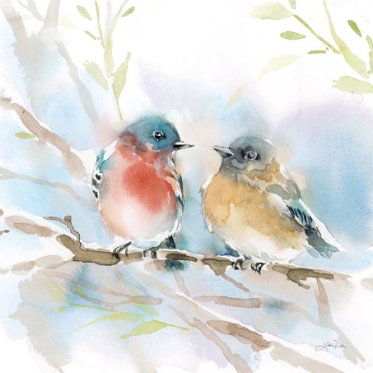 Picture of BLUEBIRD PAIR IN SPRING