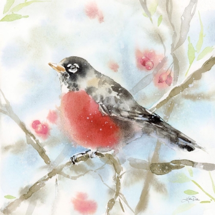 Picture of SPRING ROBIN