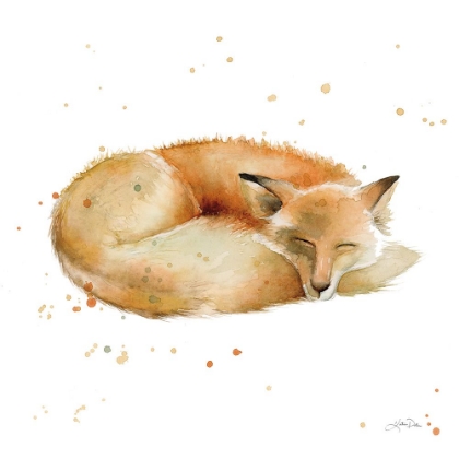 Picture of SLEEPING FOX