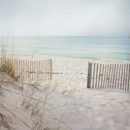 Picture of BEACH FENCE