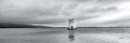 Picture of WINDMILL ISLAND LIGHT CROP