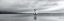 Picture of WINDMILL ISLAND LIGHT CROP