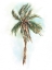 Picture of WATERCOLOR PALM STUDY I