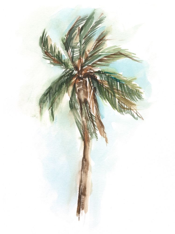 Picture of WATERCOLOR PALM STUDY I