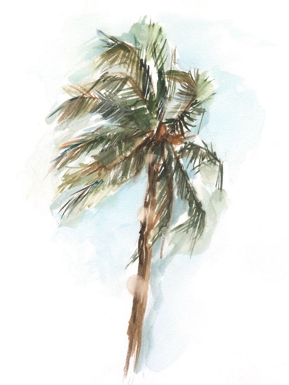 Picture of WATERCOLOR PALM STUDY II