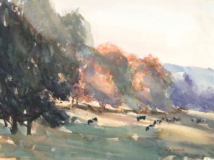 Picture of SUNLIT PASTURE II