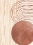 Picture of ORGANIC DESERT 1
