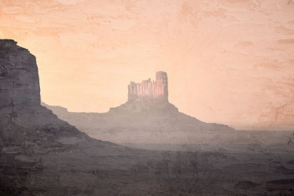 Picture of MESA