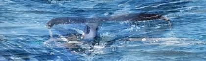 Picture of WHALE TAIL