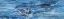 Picture of WHALE TAIL