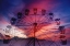 Picture of BIG WHEEL