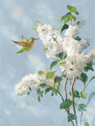 Picture of HUMMINGBIRD SPRING I SOFT BLUE