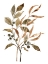 Picture of PRESERVED AUTUMN LEAVES II