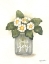Picture of CHOOSE JOY PRIMROSE