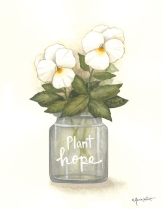 Picture of PLANT HOPE PANSIES