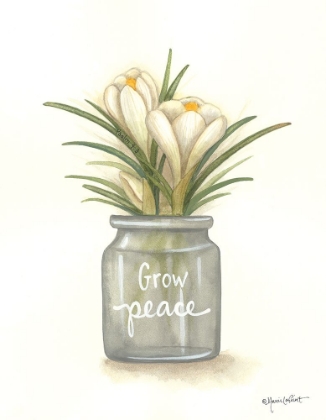 Picture of GROW PEACE CROCUS
