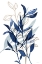Picture of BOTANICAL BLUES I