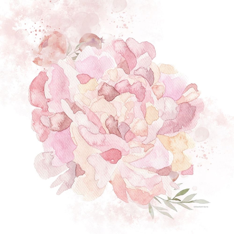 Picture of COTTAGE PEONY I