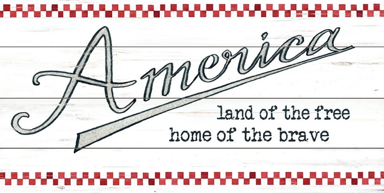 Picture of AMERICA - LAND OF THE FREE