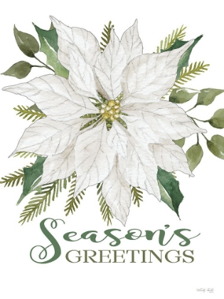 Picture of SEASONS GREETINGS POINSETTIA