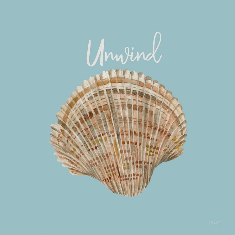 Picture of UNWIND SEASHELL