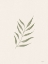 Picture of RUSTIC SIMPLICITY I