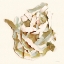 Picture of NESTED WITH GRACE