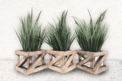 Picture of PLANTER TRIO