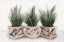 Picture of PLANTER TRIO