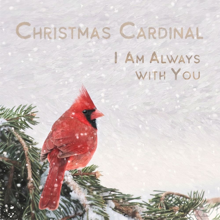 Picture of CHRISTMAS CARDINAL