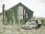 Picture of OVERGROWN