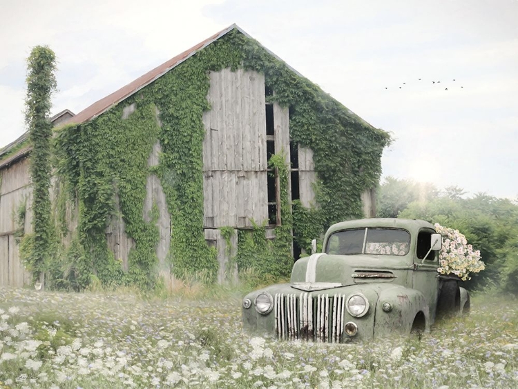 Picture of OVERGROWN