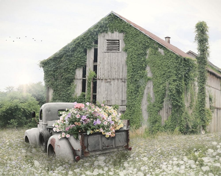 Picture of FIELD OF FLOWERS