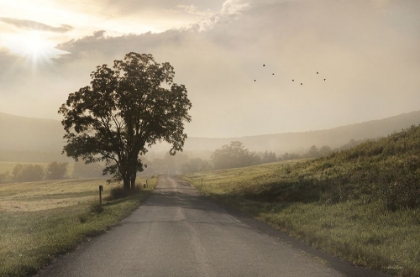 Picture of FOGGY COUNTRY ROAD I