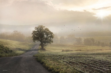 Picture of FOGGY COUNTRY ROAD II