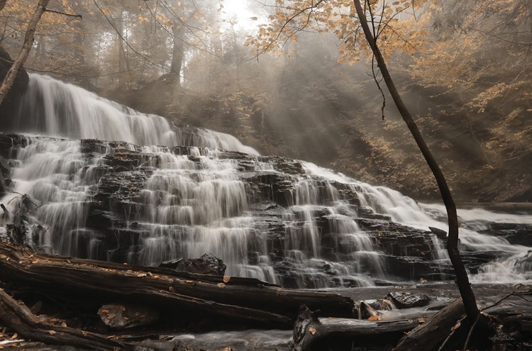 Picture of MOHAWK RAYS OF LIGHT