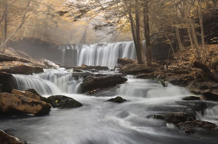 Picture of GOLDEN ONEIDA FALLS