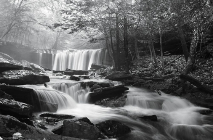 Picture of ONEIDA FALLS