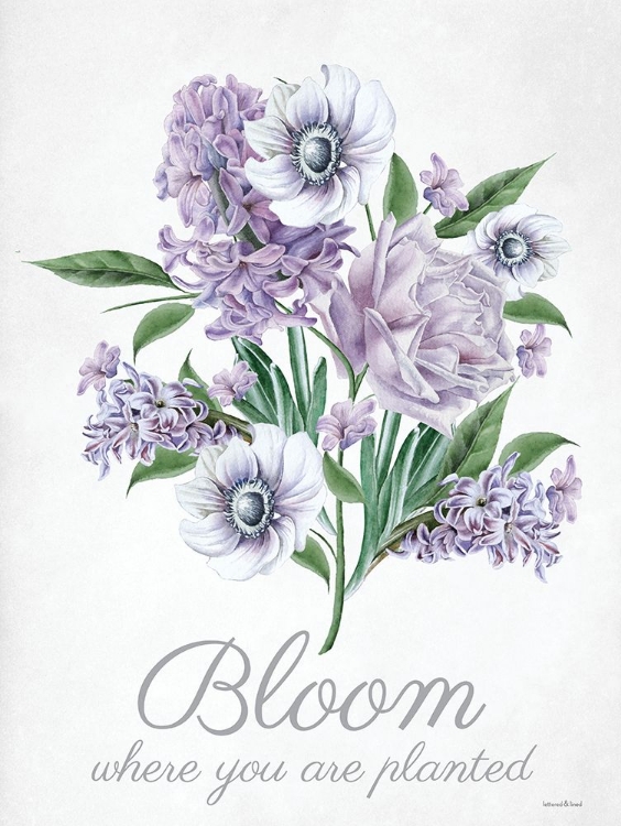 Picture of BLOOM WHERE YOU ARE PLANTED