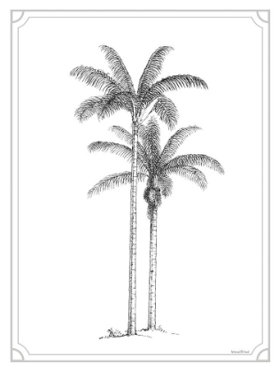 Picture of TIMELESS PALMS