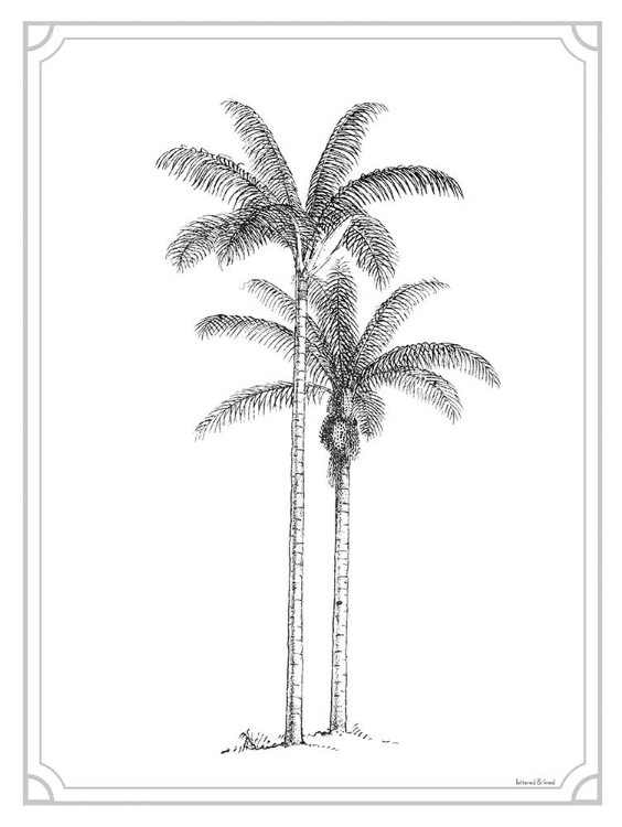 Picture of TIMELESS PALMS