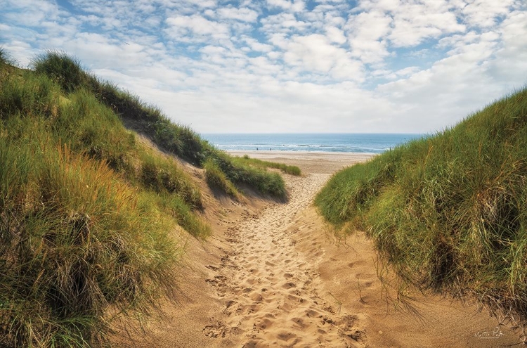 Picture of THE DUTCH NORTH SEA COAST I