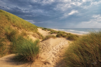 Picture of THE DUTCH NORTH SEA COAST II