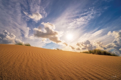 Picture of SANDY PERSPECTIVE