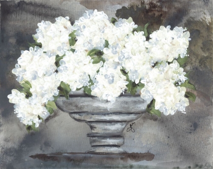 Picture of SNOWBALL HYDRANGEAS I