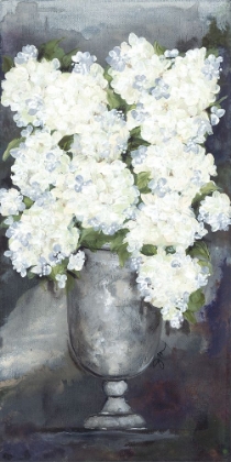 Picture of SNOWBALL HYDRANGEAS III