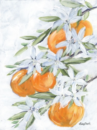 Picture of ORANGE BLOSSOMS